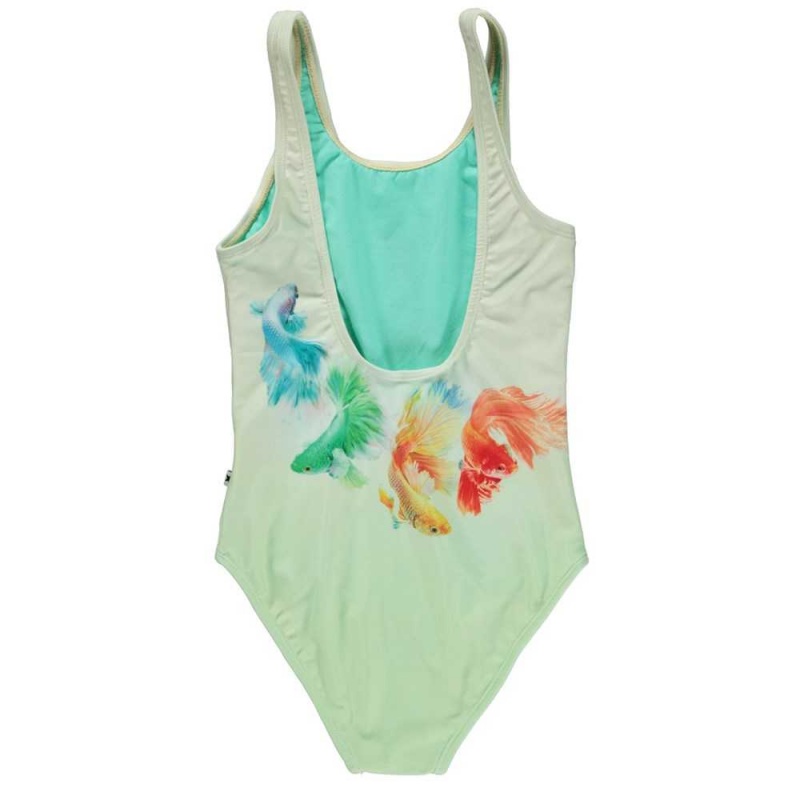 Molo Nika Swimsuits Balance | FI0001198