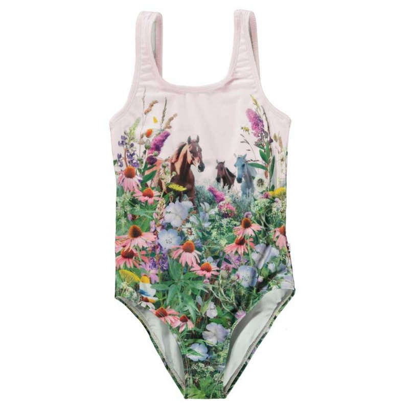 Molo Nika Swimsuits Wild Horses | FI0001208