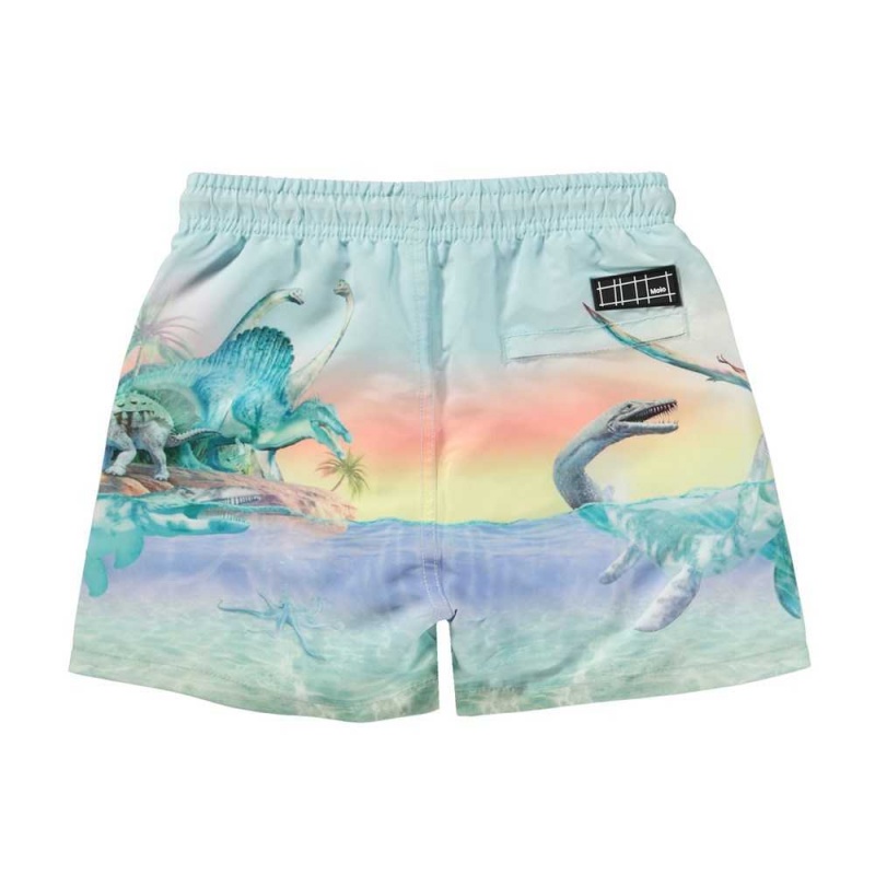 Molo Niko Swimshorts Ancient Island | FI0001134