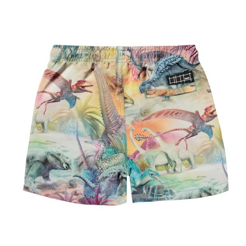 Molo Niko Swimshorts Dino Paradis | FI0001132