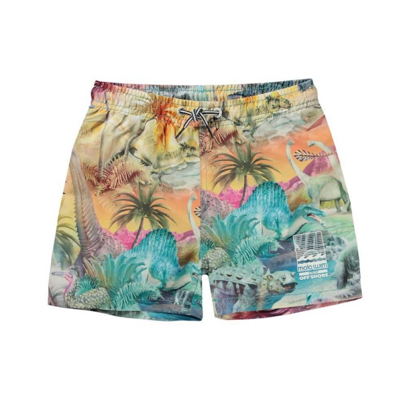 Molo Niko Swimshorts Dino Paradis | FI0001132