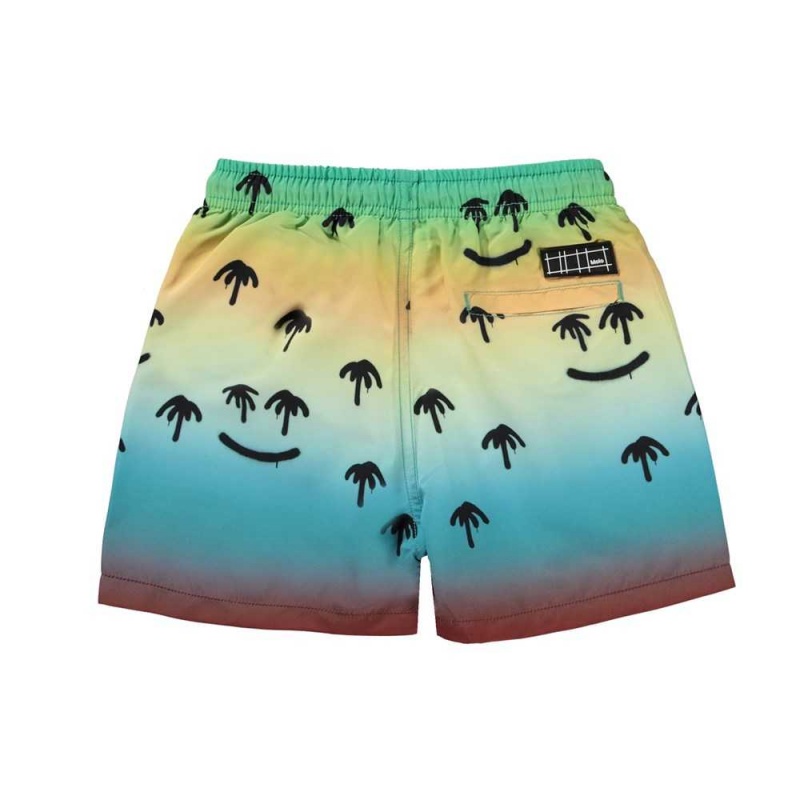 Molo Niko Swimshorts Palm Spray | FI0001117