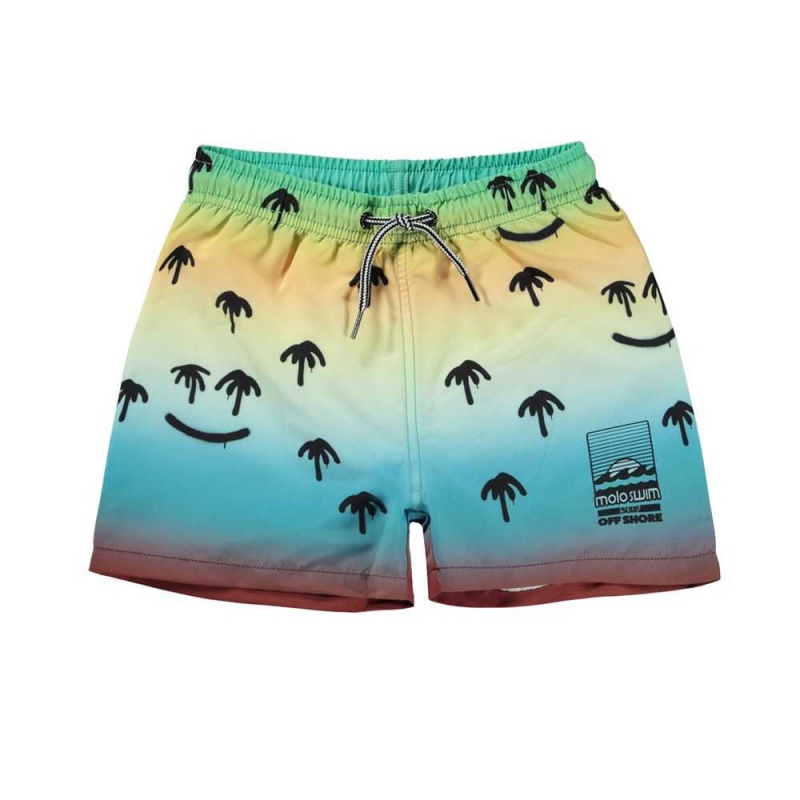 Molo Niko Swimshorts Palm Spray | FI0001117