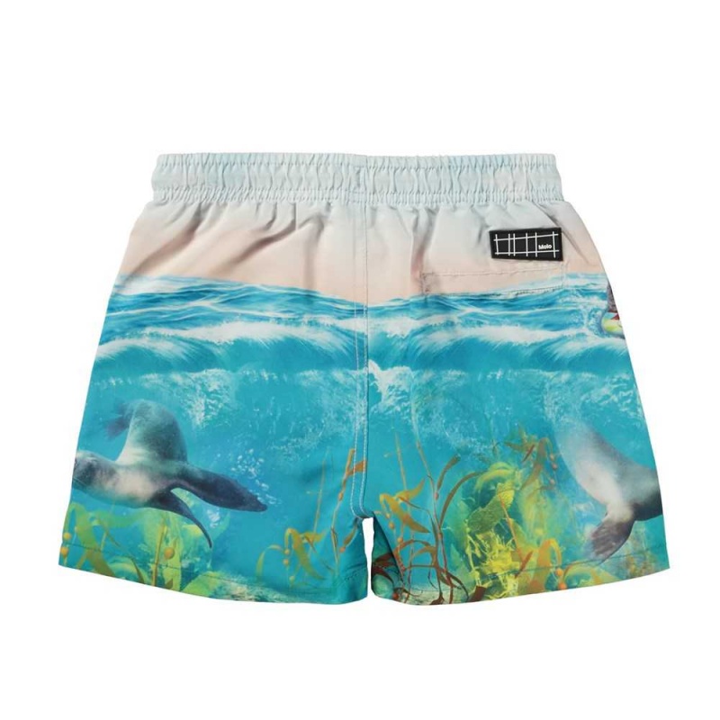 Molo Niko Swimshorts Sealion | FI0001116