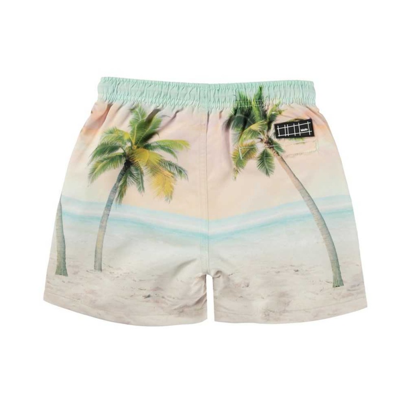 Molo Niko Swimshorts Sunrise Surfer | FI0001120