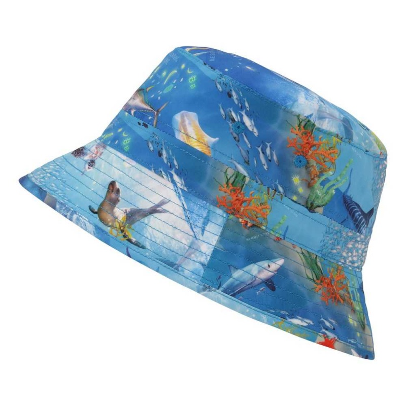 Molo Niks Hats & Caps Ocean Zones | FI0000937