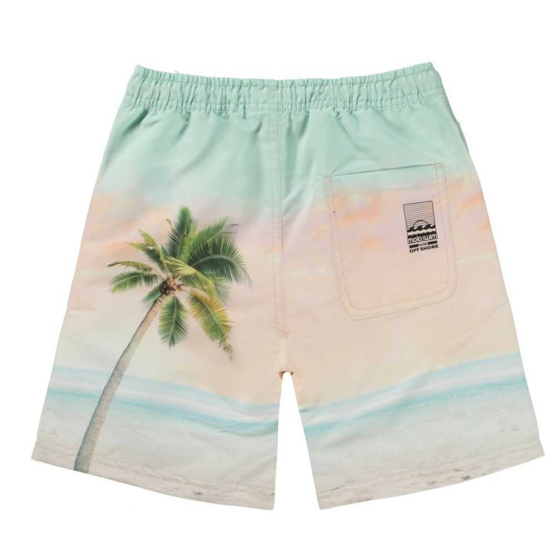 Molo Nilson Swimshorts Sunrise Surfer | FI0001123