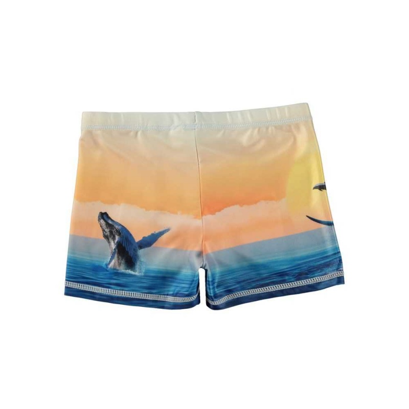 Molo Norton Placed Swimshorts Ocean Smile | FI0001144