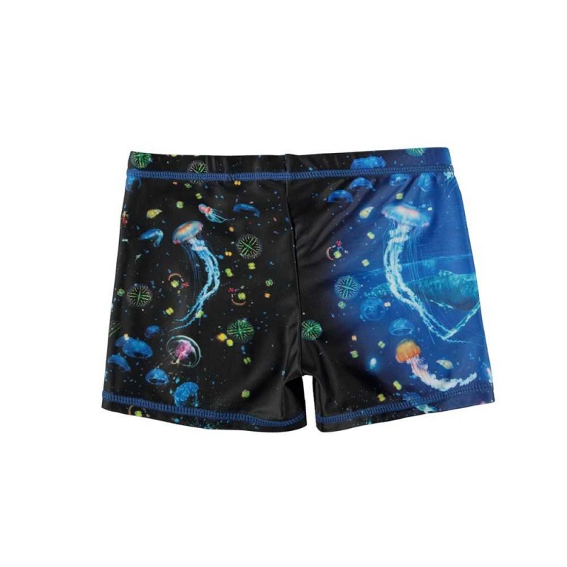 Molo Norton Placed Swimshorts Plankton | FI0001151