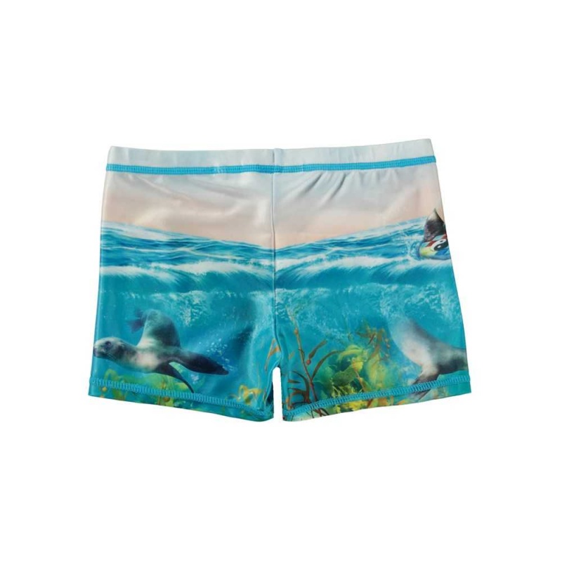 Molo Norton Placed Swimshorts Sealion | FI0001114