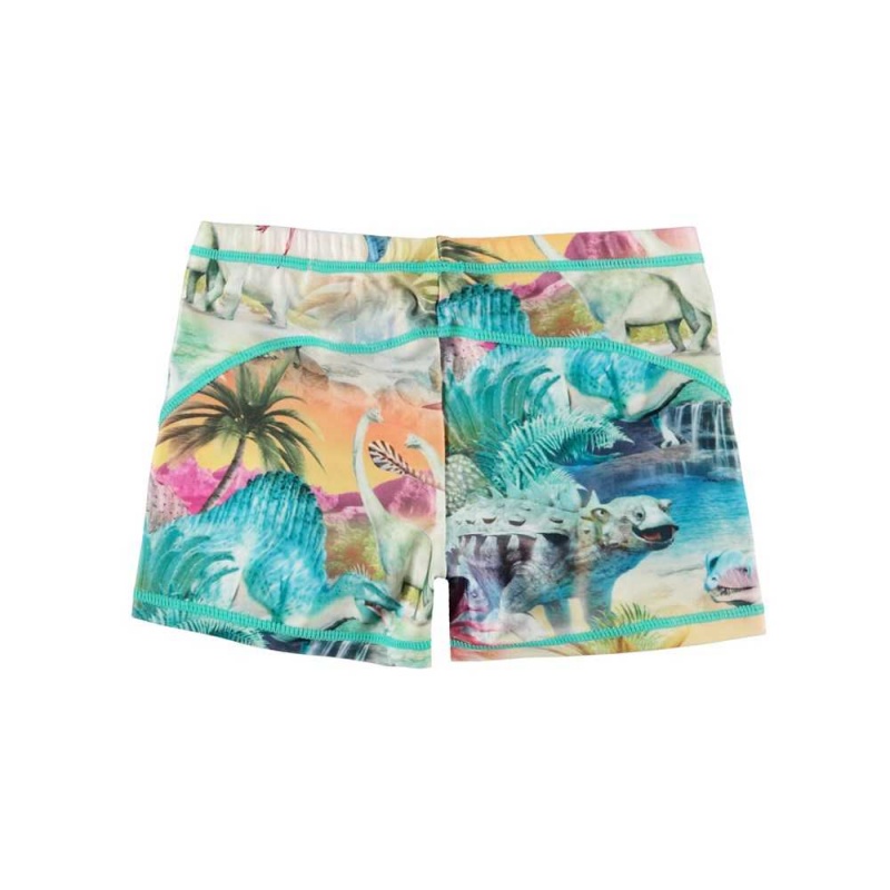 Molo Norton Swimshorts Dino Paradis | FI0001133