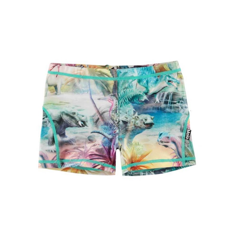 Molo Norton Swimshorts Dino Paradis | FI0001133