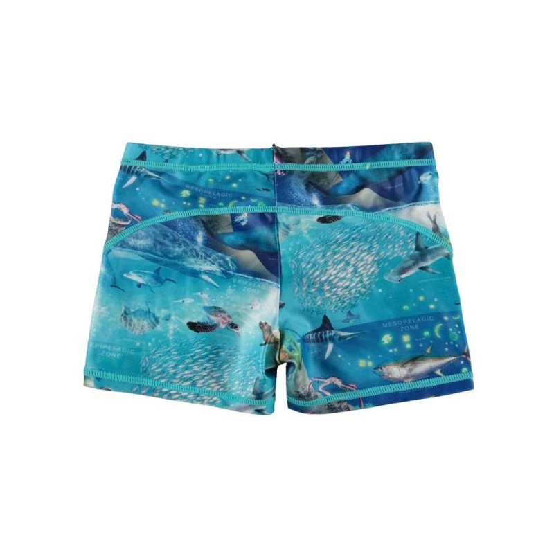 Molo Norton Swimshorts Ocean Zones | FI0001136