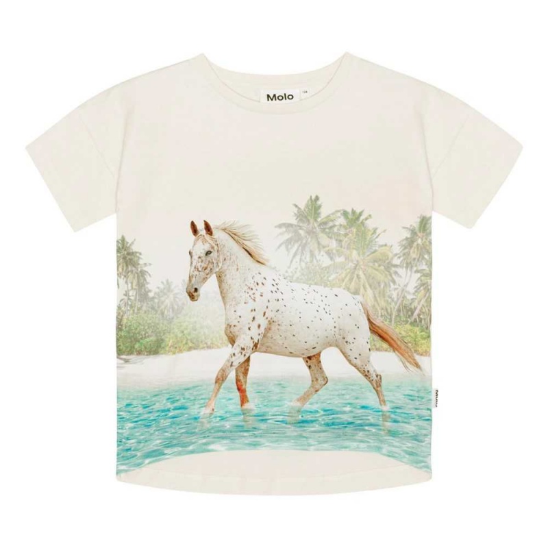 Molo Raeesa Tytöille T Shirts Tops Horse On Beach | FI0000523