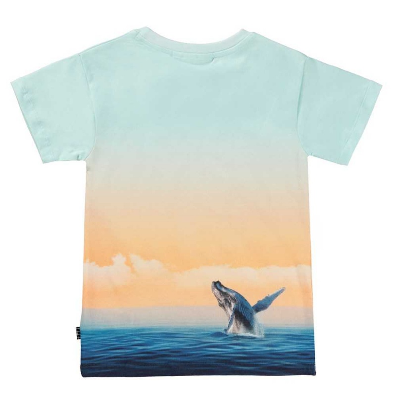 Molo Raul Pojille T Shirts Tops Ocean Smile | FI0000631