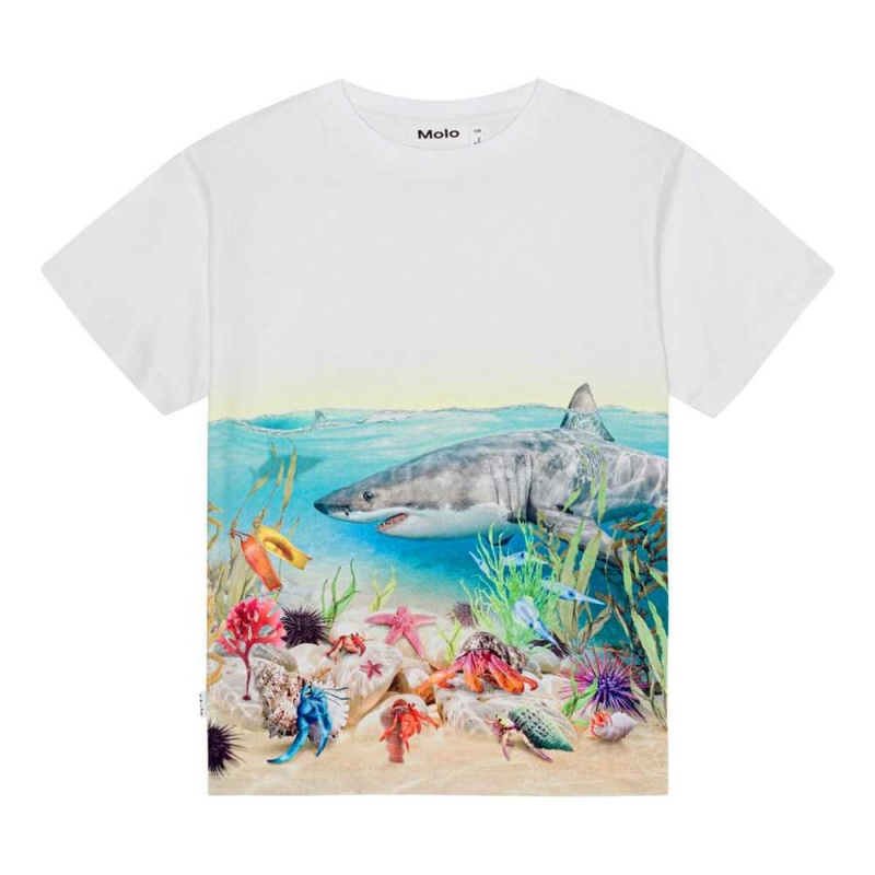 Molo Raveno Pojille T Shirts Tops Shore Sharks | FI0000790