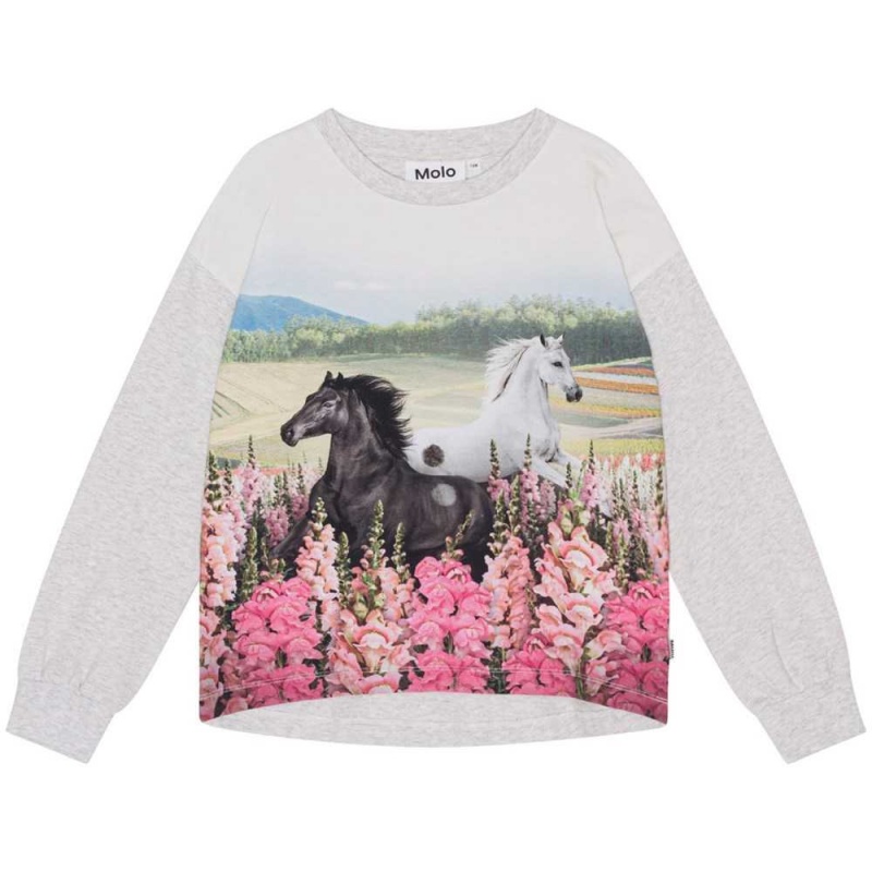 Molo Reniza Tytöille T Shirts Tops Meadow Horses | FI0000573