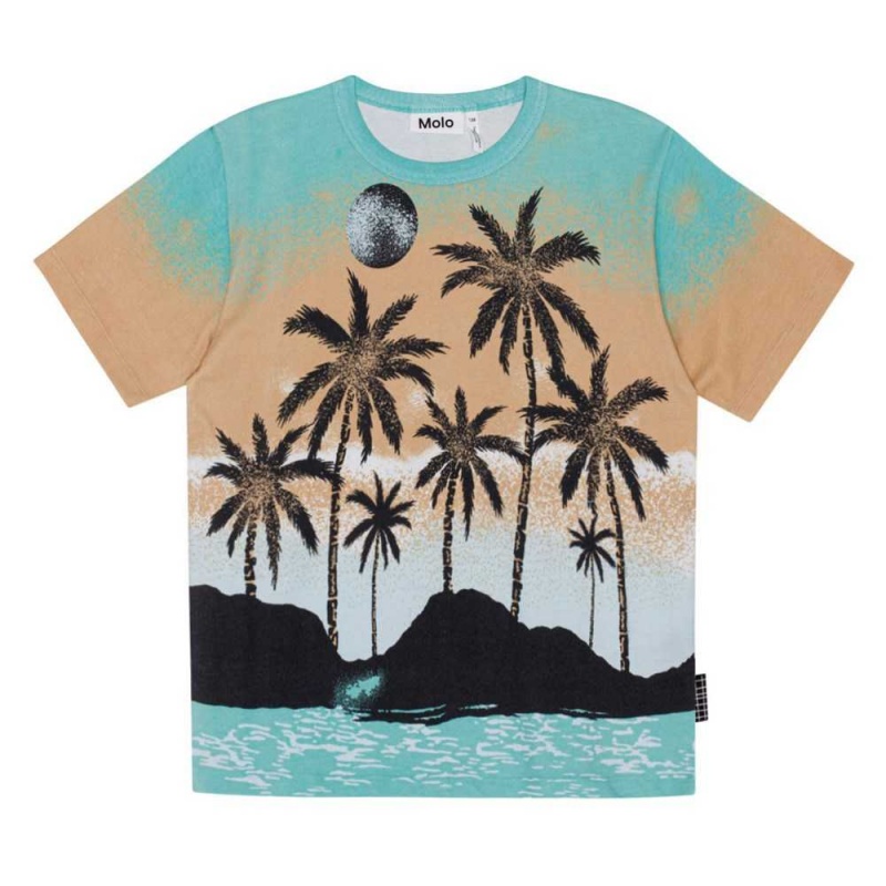 Molo Riley Pojille T Shirts Tops Holiday Island | FI0000778