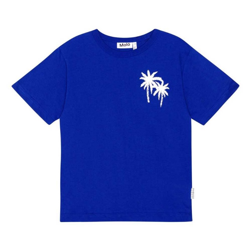 Molo Riley Pojille T Shirts Tops Reef Blue | FI0000770