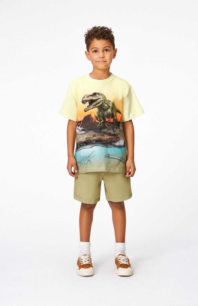 Molo Riley Pojille T Shirts Tops Volcano Dino | FI0000808