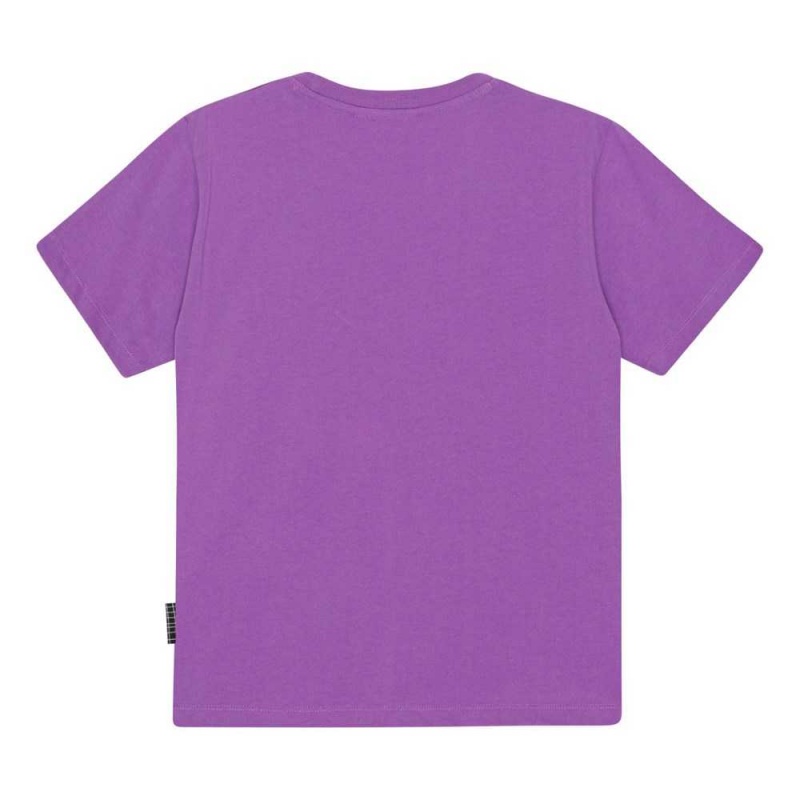 Molo Rodney Pojille T Shirts Tops Purple Sky | FI0000852