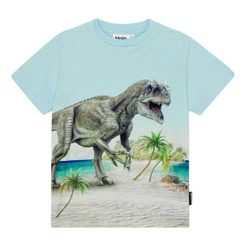 Molo Roxo Pojille T Shirts Tops Beach Dino | FI0000809