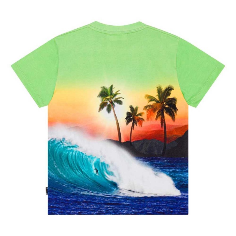 Molo Roxo Pojille T Shirts Tops Green Sunset | FI0000771