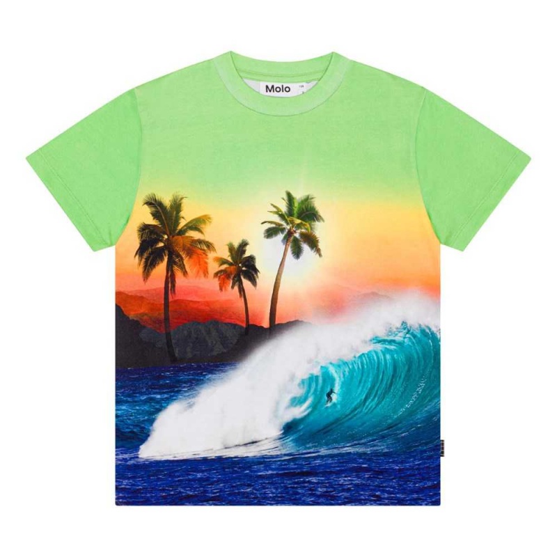 Molo Roxo Pojille T Shirts Tops Green Sunset | FI0000771