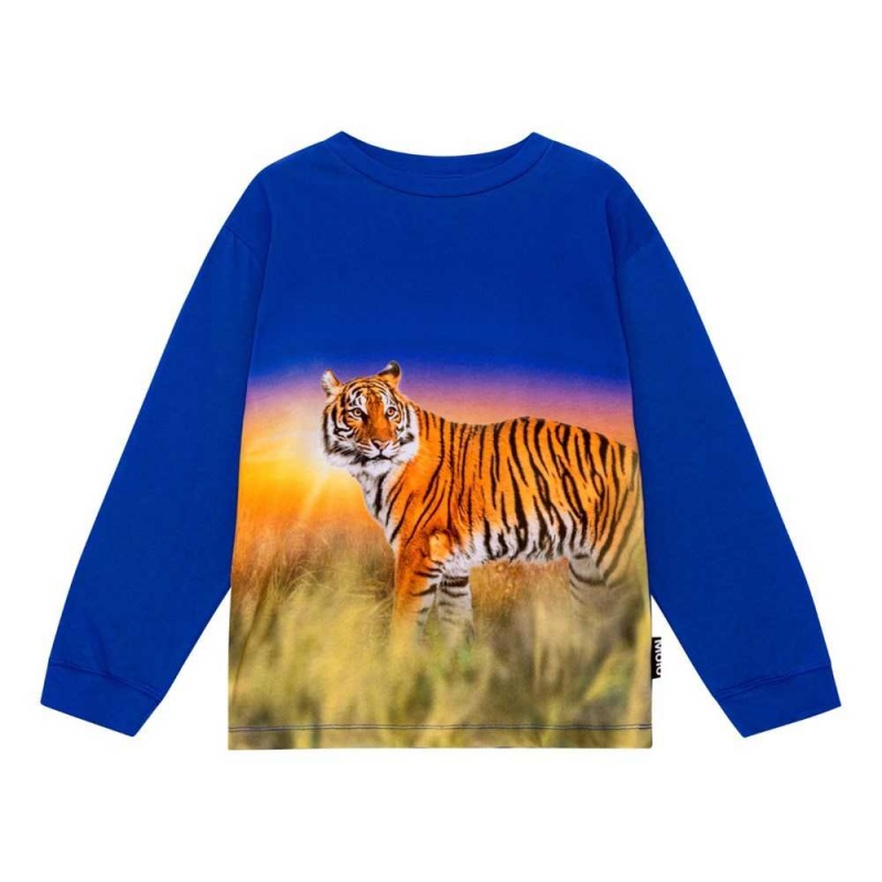 Molo Rube Pojille T Shirts Tops Tiger Reef | FI0000856