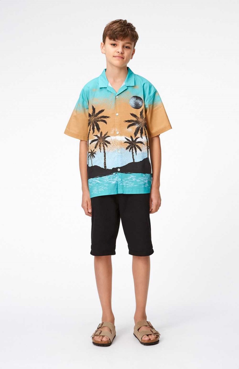 Molo Rui Pojille Shirts Holiday Island | FI0000681