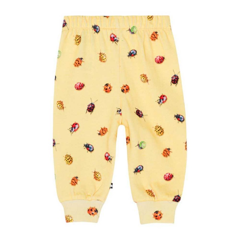 Molo Simeon Pojille Pants Jeans Coccinella | FI0001335