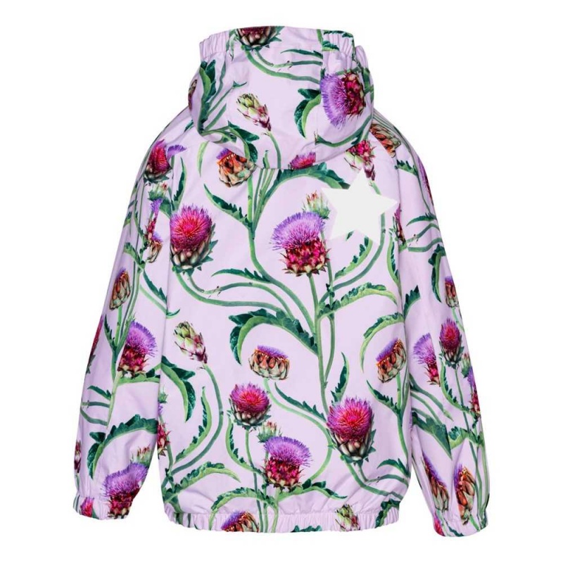 Molo Waiton Rainwear Artichoke Bloom | FI0000061