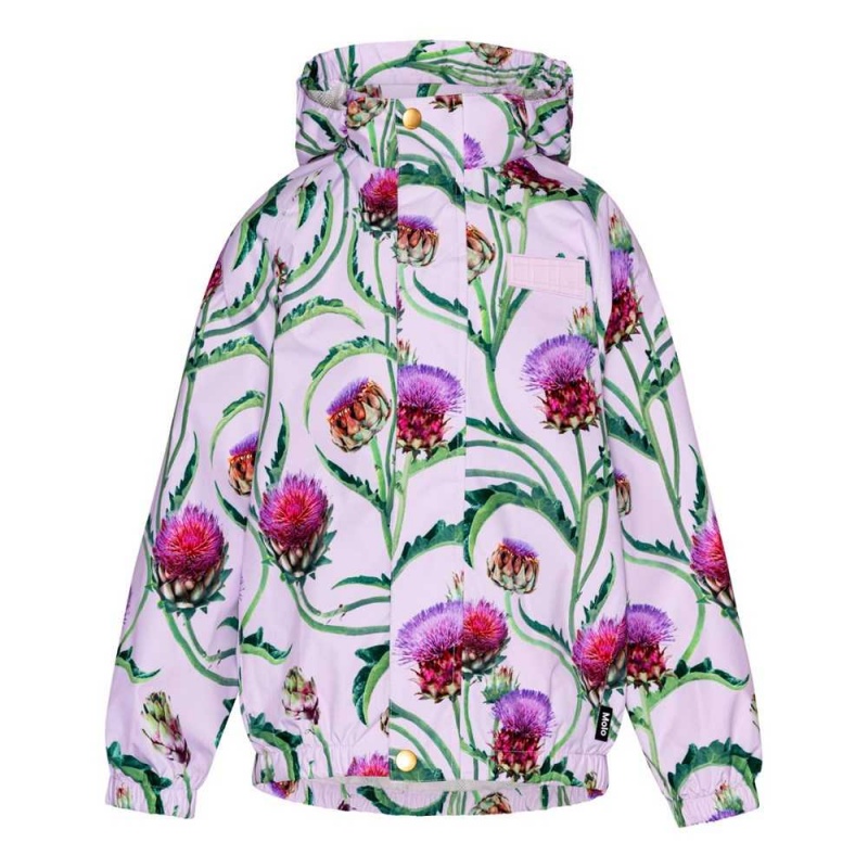 Molo Waiton Rainwear Artichoke Bloom | FI0000061