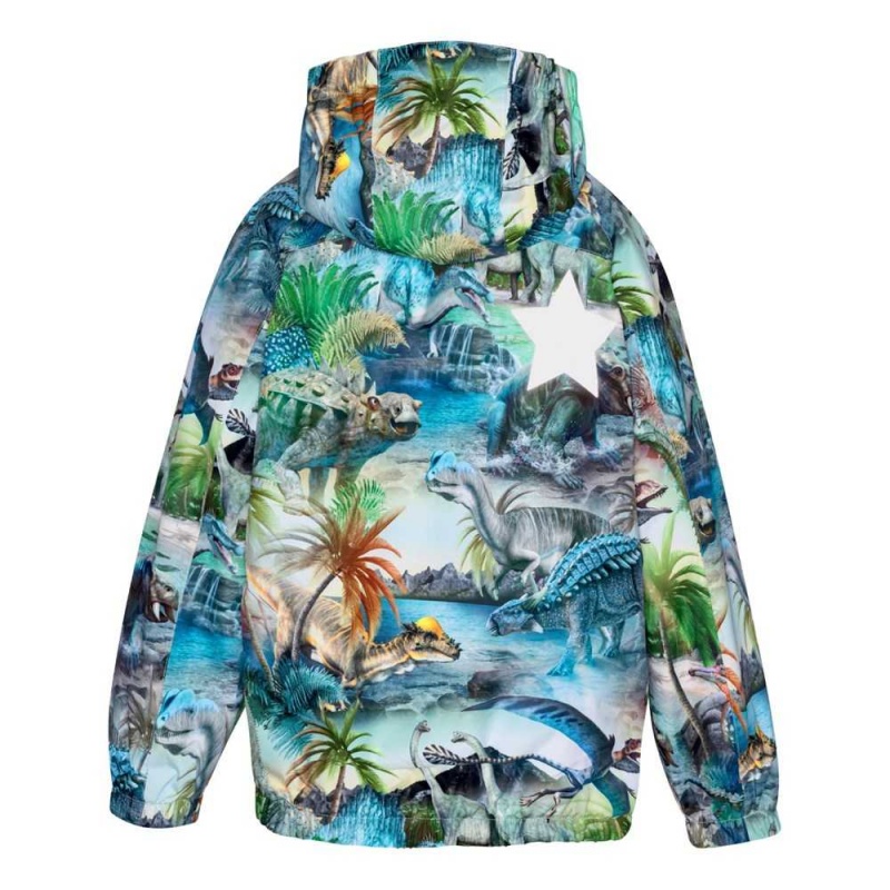 Molo Waiton Rainwear Dino Fantastic | FI0000064