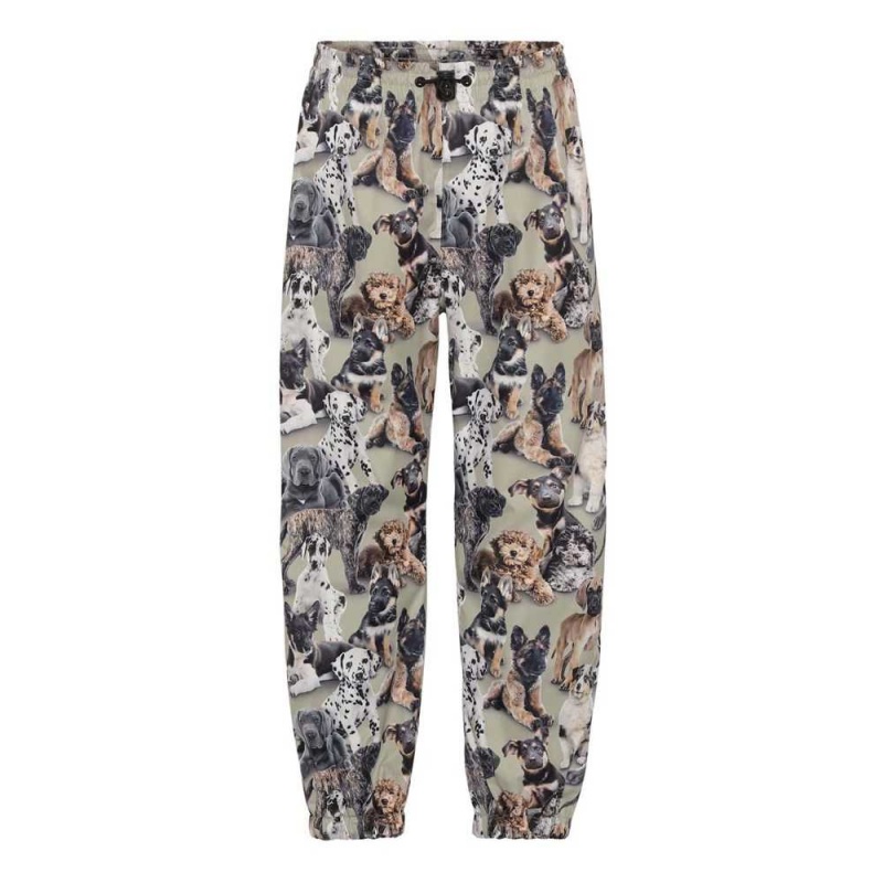 Molo Waits Rainwear Pups Camo | FI0000096