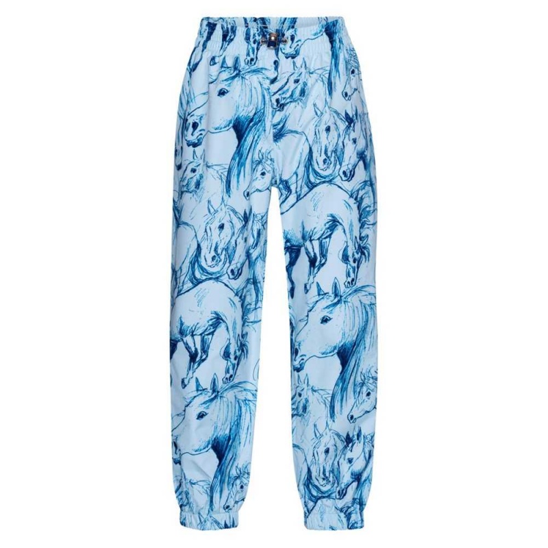 Molo Waits Rainwear Sky Blue Horses | FI0000068